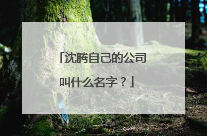 沈腾自己的公司叫什么名字？