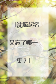 沈腾起名又忘了哪一集？