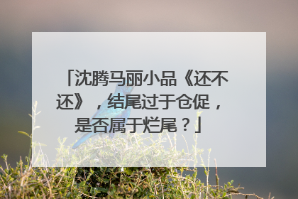 沈腾马丽小品《还不还》,结尾过于仓促,是否属于烂尾?