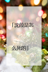 沈葭是怎么死的