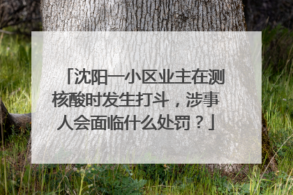 沈阳一小区业主在测核酸时发生打斗,涉事人会面临什么处罚?