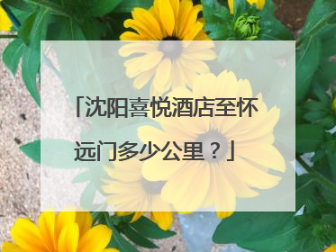 沈阳喜悦酒店至怀远门多少公里？