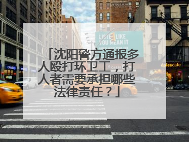 沈阳警方通报多人殴打环卫工，打人者需要承担哪些法律责任？