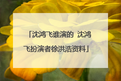 沈鸿飞谁演的 沈鸿飞扮演者徐洪浩资料