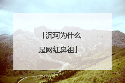 沉珂为什么是网红鼻祖