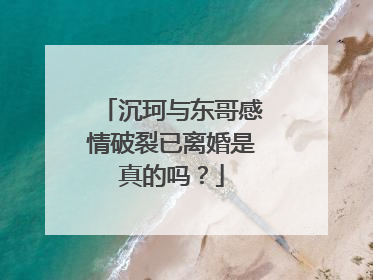 沉珂与东哥感情破裂已离婚是真的吗?