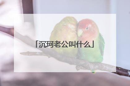 沉珂老公叫什么