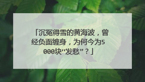 沉冤得雪的黄海波,曾经负面缠身,为何今为5000块“发愁”?