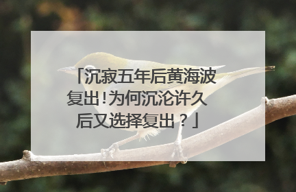 沉寂五年后黄海波复出!为何沉沦许久后又选择复出?
