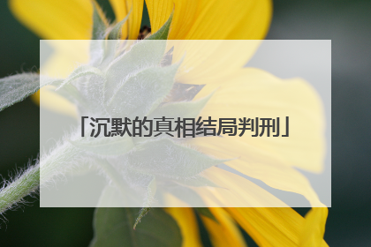 沉默的真相结局判刑