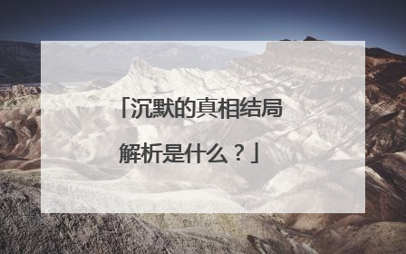 沉默的真相结局解析是什么?
