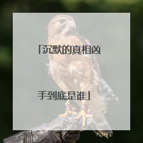 沉默的真相凶手到底是谁