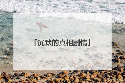 沉默的真相剧情