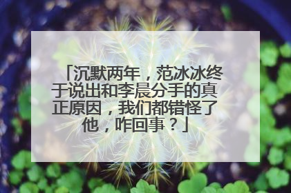 沉默两年，范冰冰终于说出和李晨分手的真正原因，我们都错怪了他，咋回事？