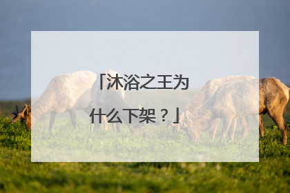 沐浴之王为什么下架?