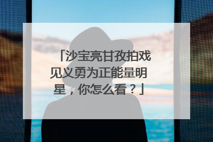 沙宝亮甘孜拍戏见义勇为正能量明星，你怎么看？