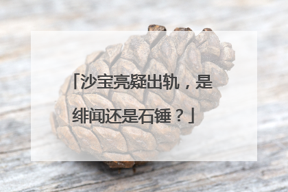 沙宝亮疑出轨，是绯闻还是石锤？