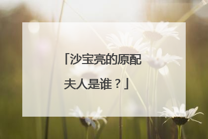 沙宝亮的原配夫人是谁？