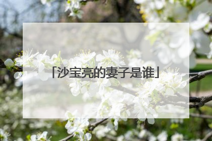 沙宝亮的妻子是谁