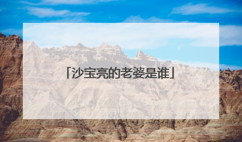 沙宝亮的老婆是谁