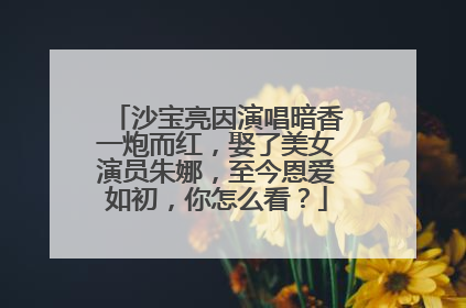 沙宝亮因演唱暗香一炮而红，娶了美女演员朱娜，至今恩爱如初，你怎么看？