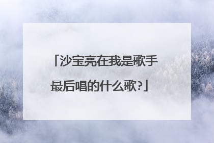 沙宝亮在我是歌手最后唱的什么歌?