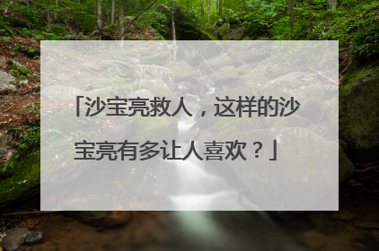 沙宝亮救人，这样的沙宝亮有多让人喜欢？