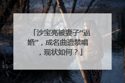沙宝亮被妻子“逼婚”,成名曲遭禁唱,现状如何?