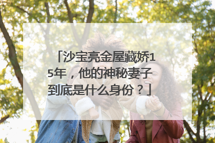 沙宝亮金屋藏娇15年，他的神秘妻子到底是什么身份？