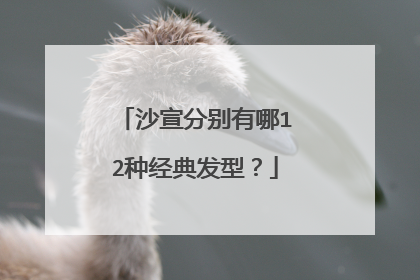 沙宣分别有哪12种经典发型？