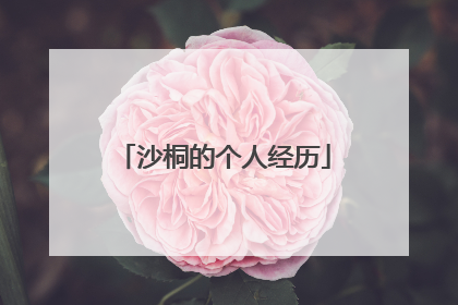 沙桐的个人经历