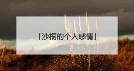 沙桐的个人感情