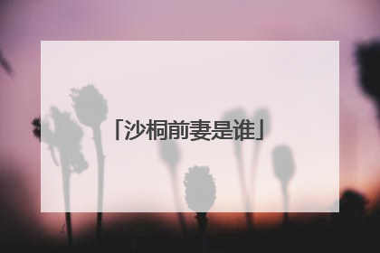 沙桐前妻是谁