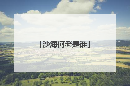 沙海何老是谁