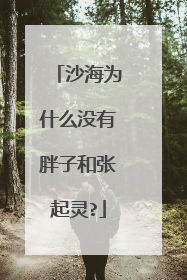 沙海为什么没有胖子和张起灵?