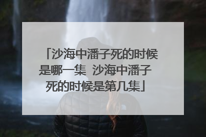 沙海中潘子死的时候是哪一集 沙海中潘子死的时候是第几集