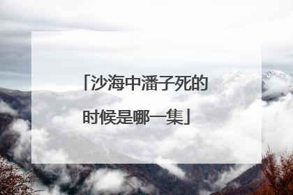 沙海中潘子死的时候是哪一集