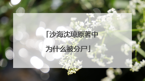 沙海沈琼原著中为什么被分尸