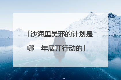沙海里吴邪的计划是哪一年展开行动的