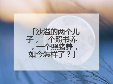 沙溢的两个儿子，一个照书养，一个照猪养，如今怎样了？