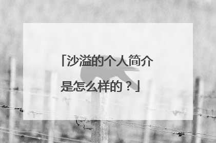 沙溢的个人简介是怎么样的？