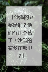 沙溢的老婆是谁？他们有几个孩子？沙溢的家乡在哪里？