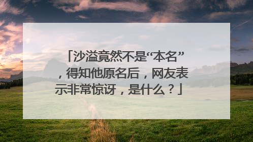 沙溢竟然不是“本名”，得知他原名后，网友表示非常惊讶，是什么？