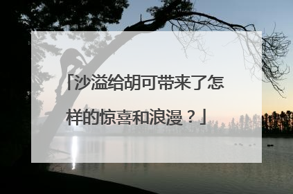 沙溢给胡可带来了怎样的惊喜和浪漫？