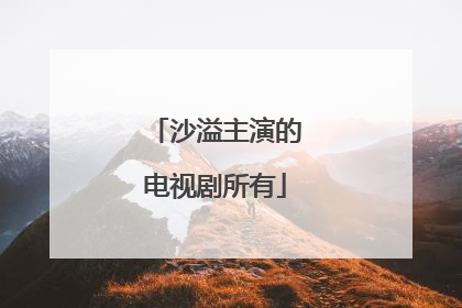 沙溢主演的电视剧所有