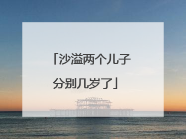 沙溢两个儿子分别几岁了