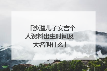 沙溢儿子安吉个人资料出生时间及大名叫什么