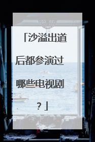 沙溢出道后都参演过哪些电视剧？