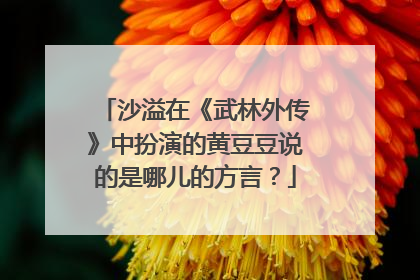 沙溢在《武林外传》中扮演的黄豆豆说的是哪儿的方言？