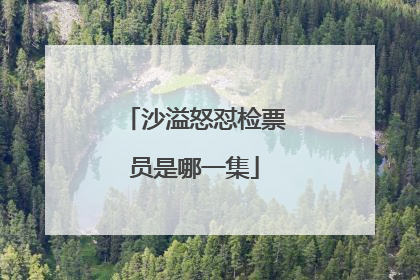 沙溢怒怼检票员是哪一集